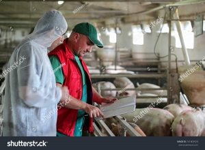 Image By : https://www.shutterstock.com